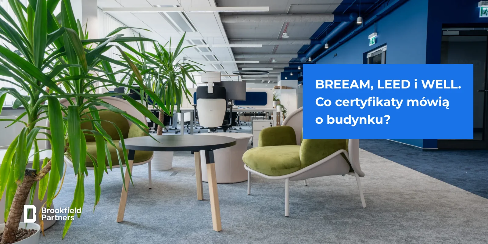 BREEAM, LEED i WELL - co certyfikaty mówią o budynku?