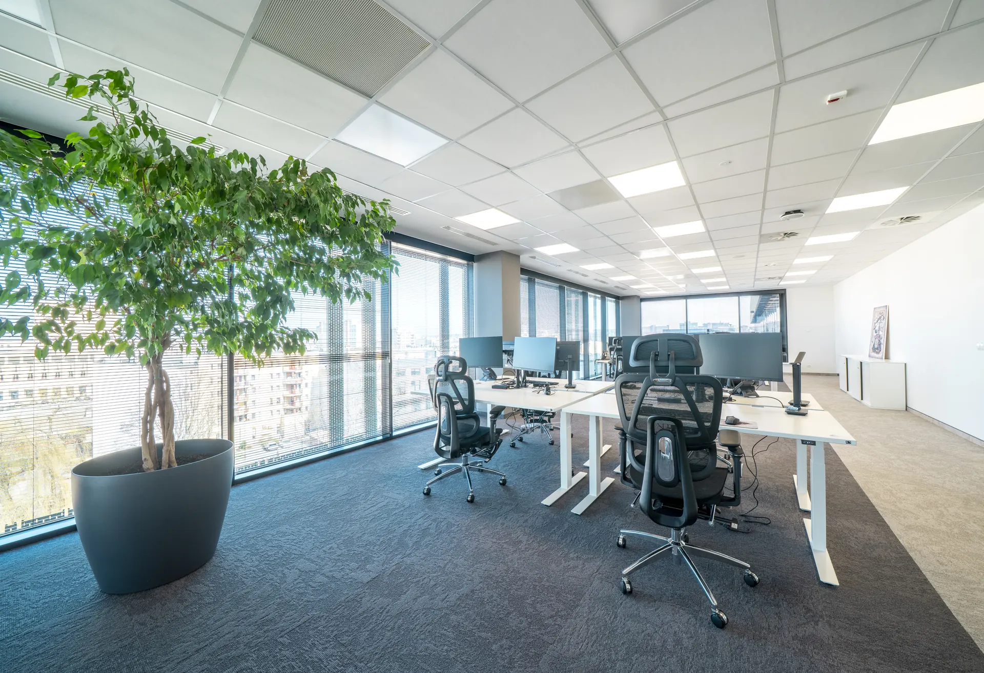 Bonprix - common area