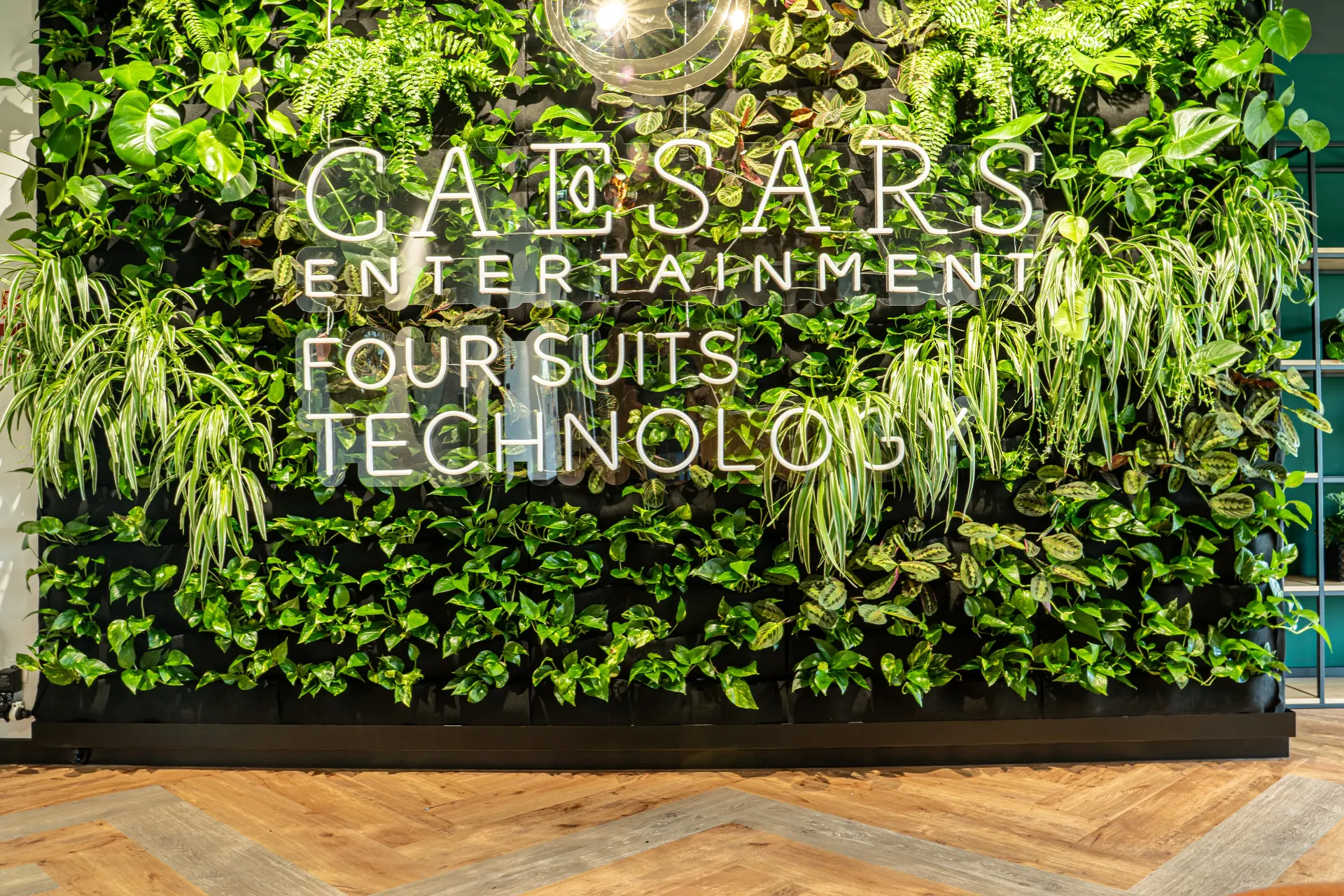 Four Suits Technology - office space