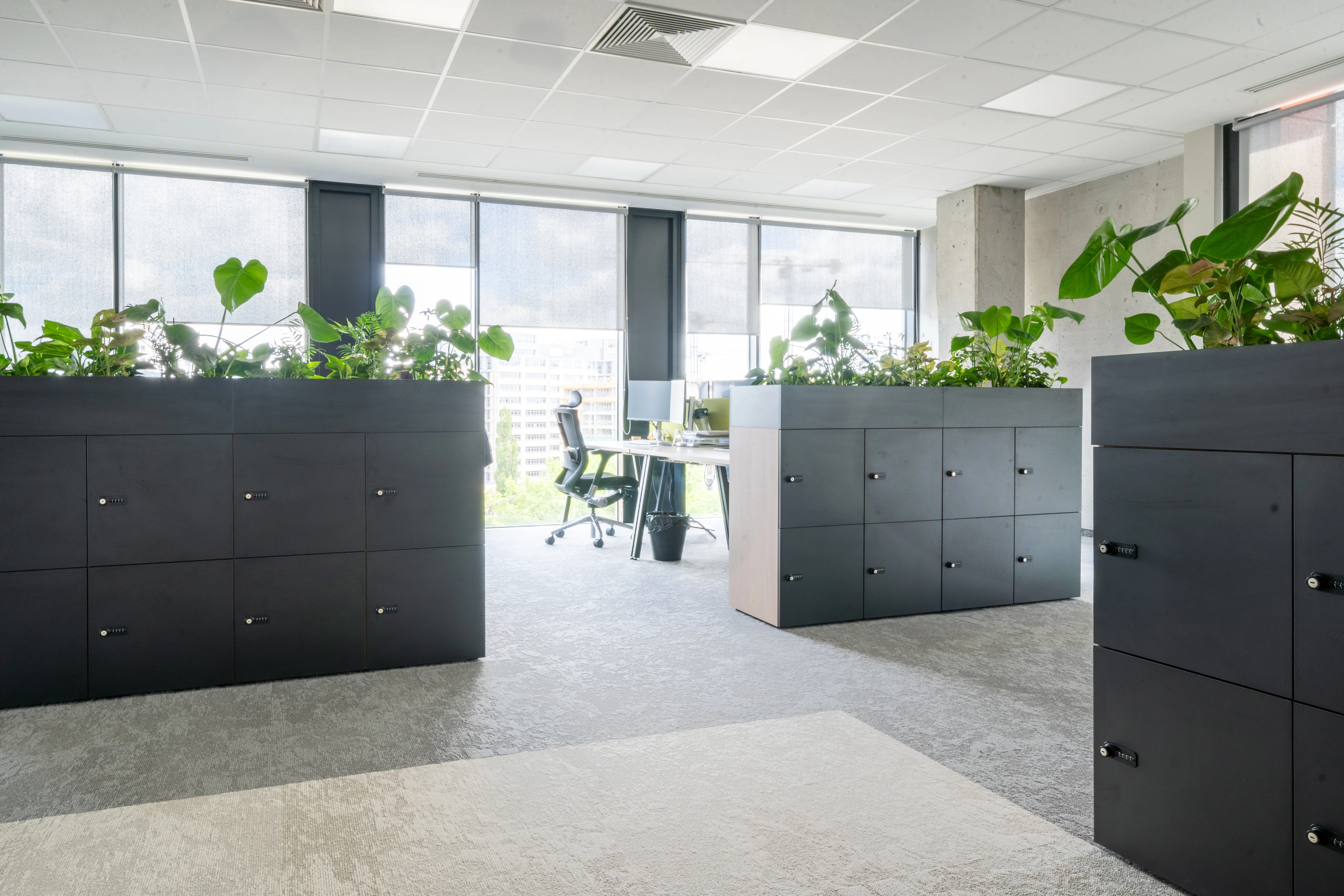 MSC Poland - common area