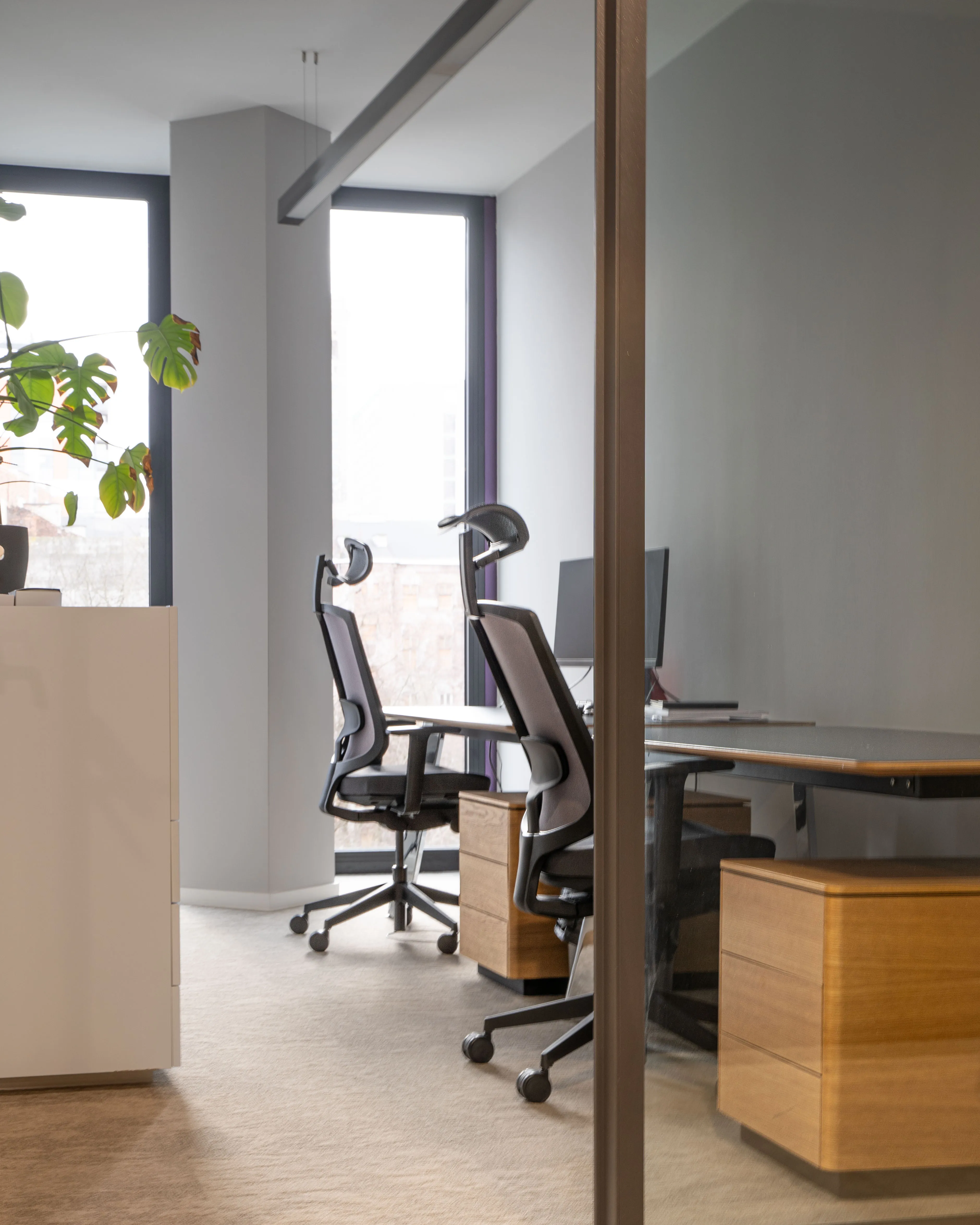 Opoka TFI - private office