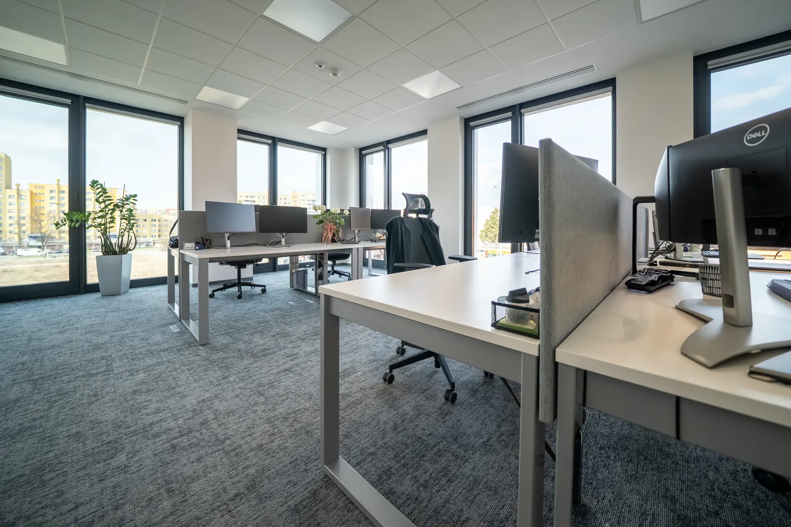 PIB Group Wrocław - office corridor