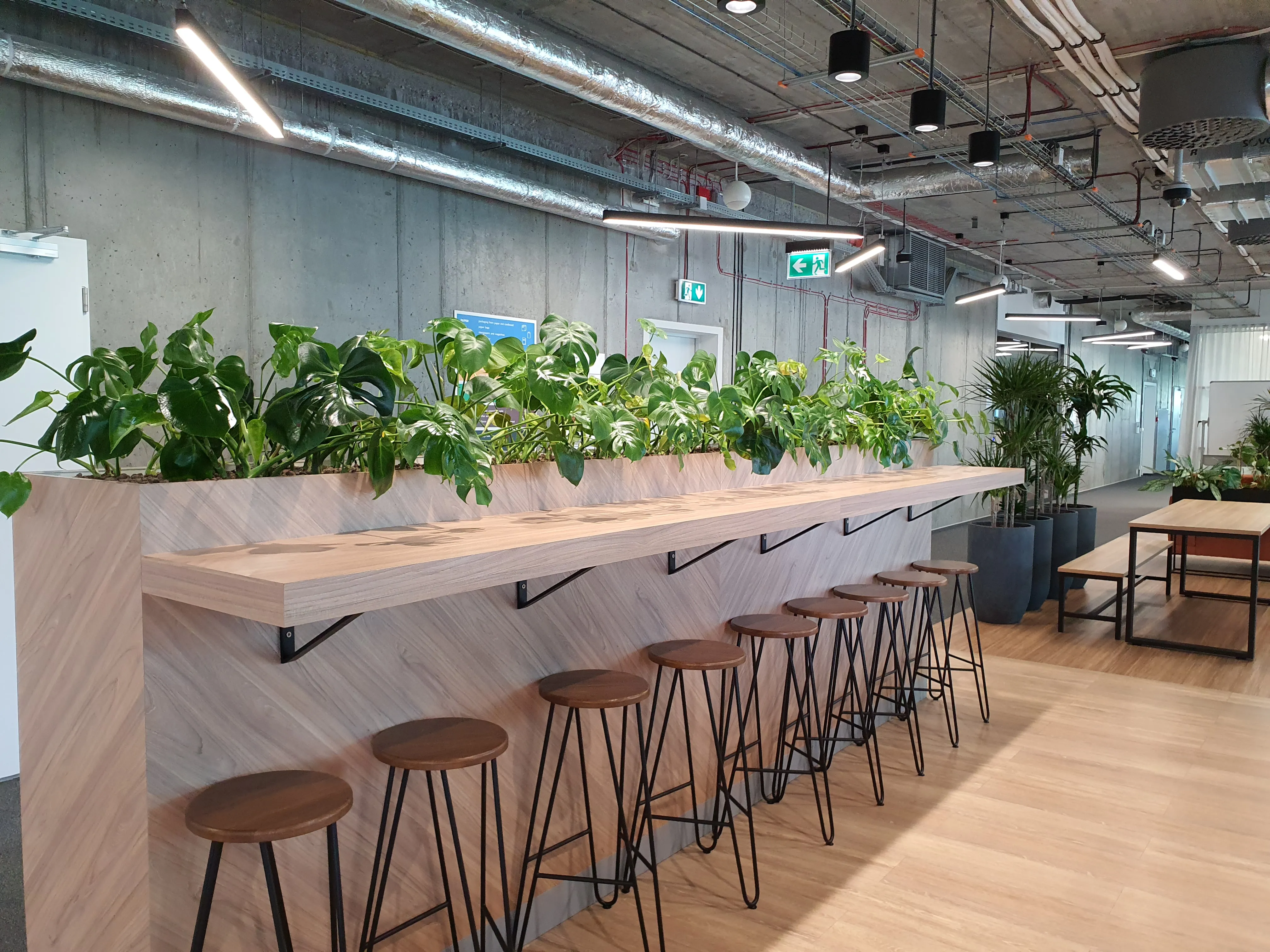 Revolut - bar z monstera i hokerami