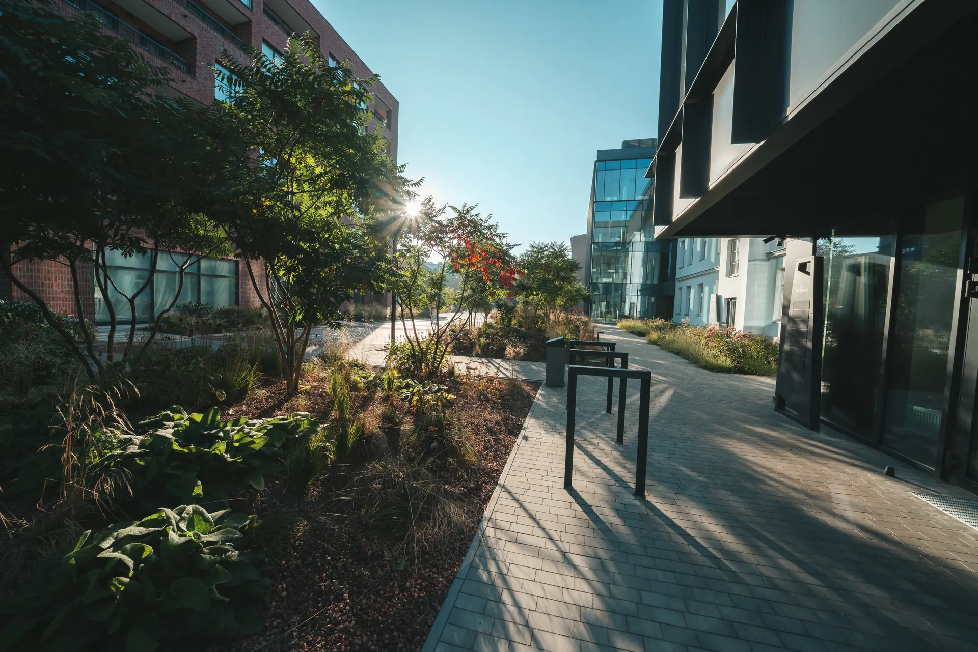 Worksmile - strefa open space